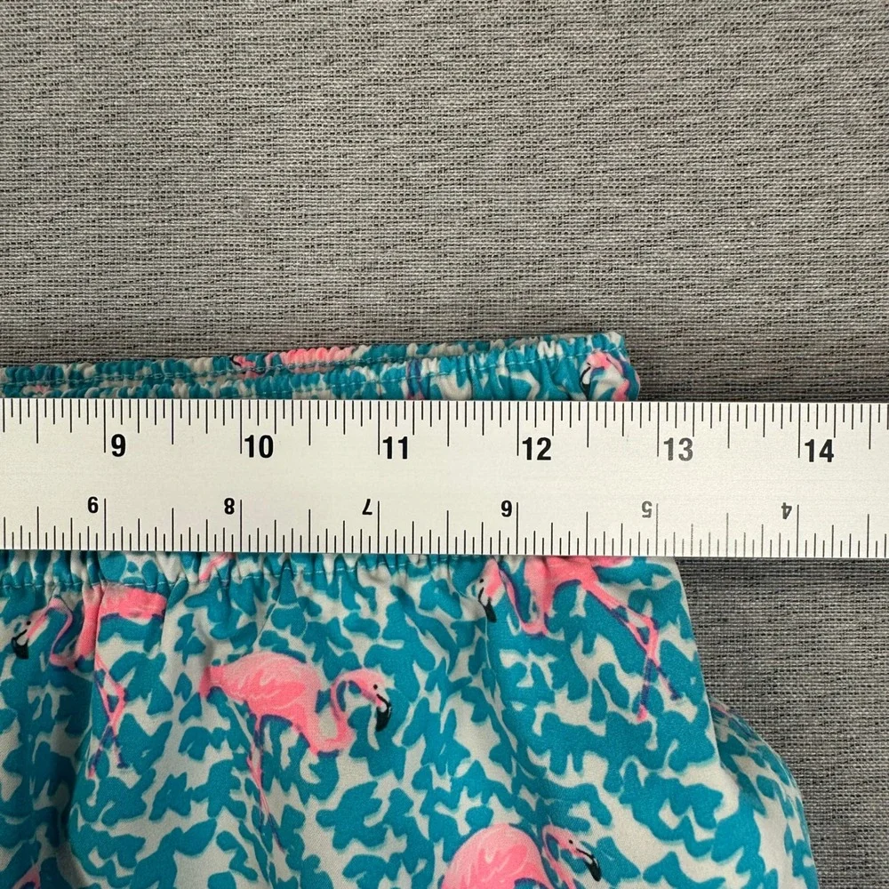 Chubbies Swim Trunks Mens Small 5.5